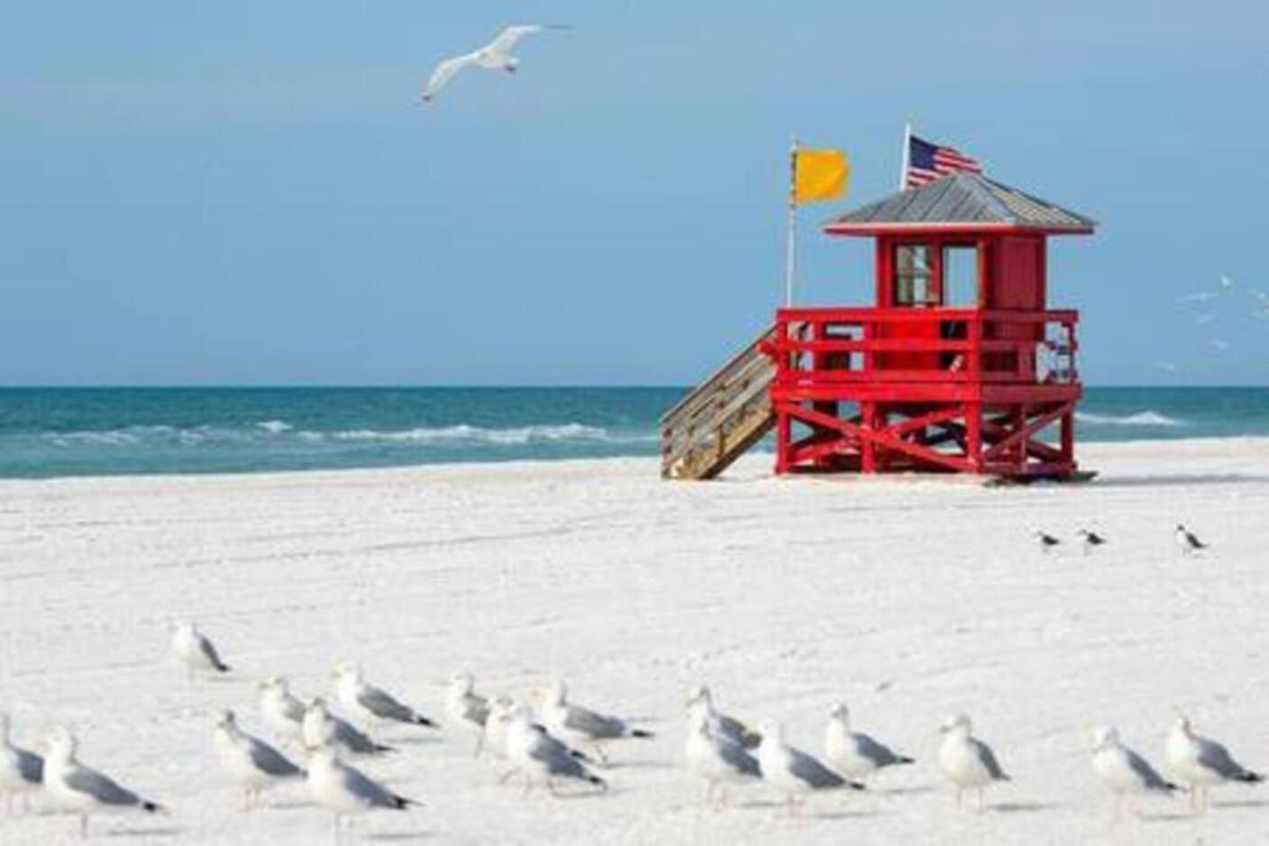 Fantastic Island House 1 Mile To The Beach With Heated Pool Sarasota Buitenkant foto